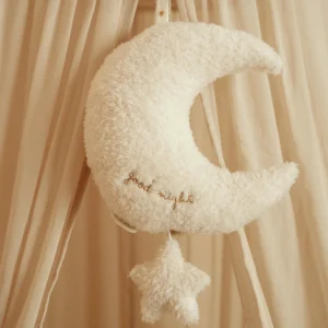 Boîte à musique Lune | Newborn