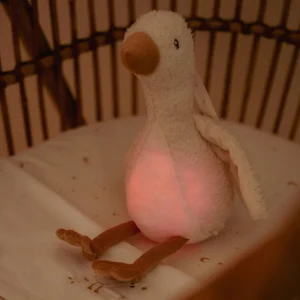 Oie musicale et lumineuse à bruits blanc | Newborn