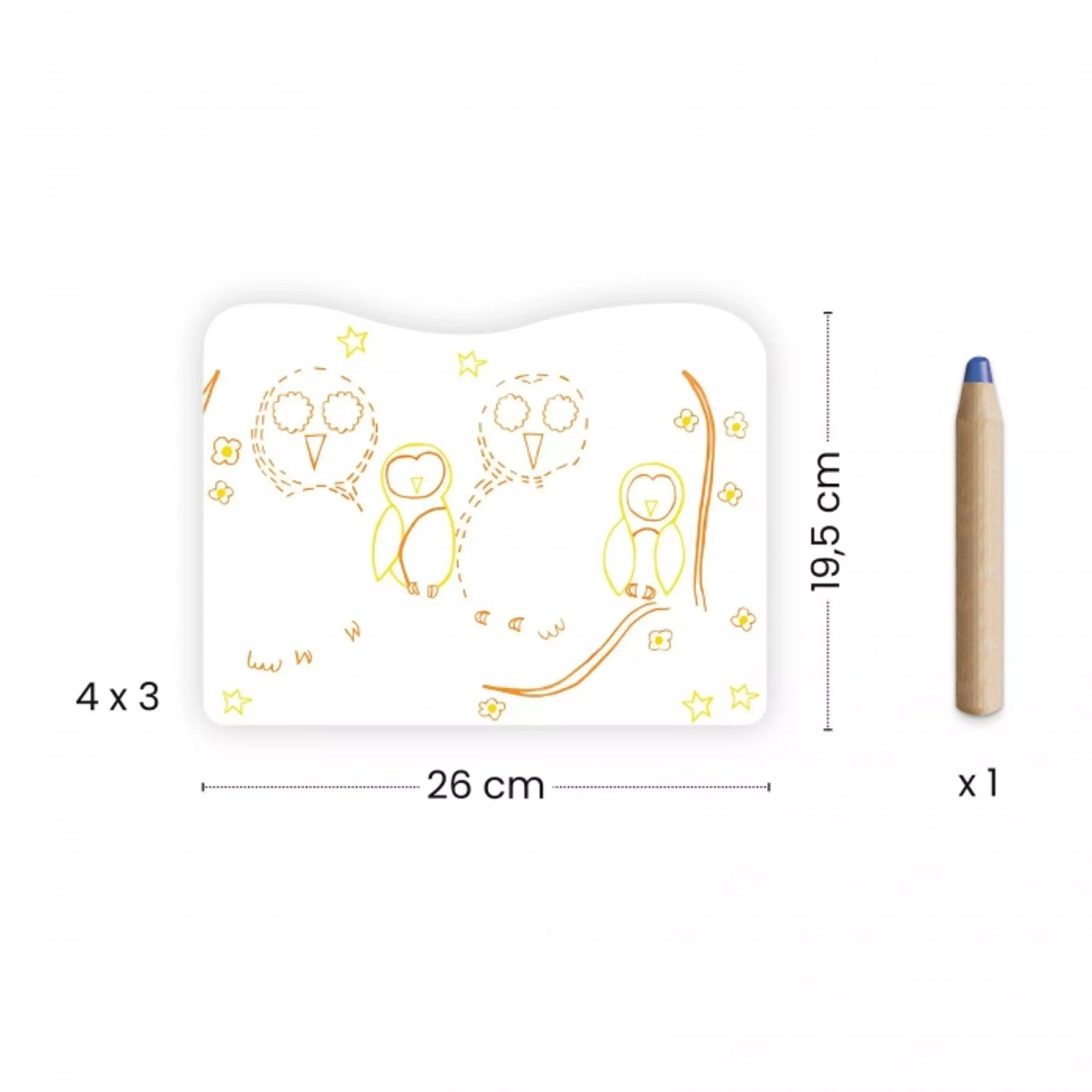 Coloriage Familles des sous-bois, Djeco – Image 4