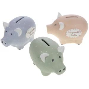 Tirelire Cochon Louison 2