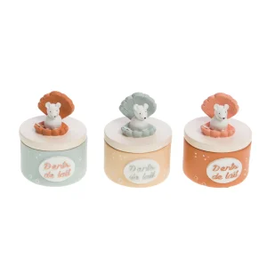 Boîte à Dent Coquillage, Cades Design