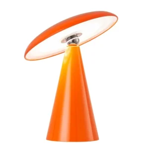 Lampe Phoebe, Present Time