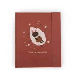 Livre Naissance Aprés La Pluie