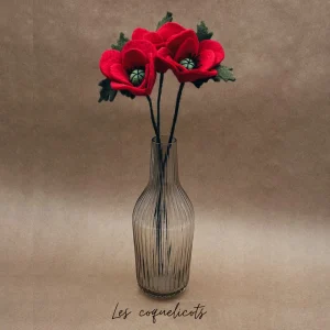 Branches de Coquelicots – New Heidi