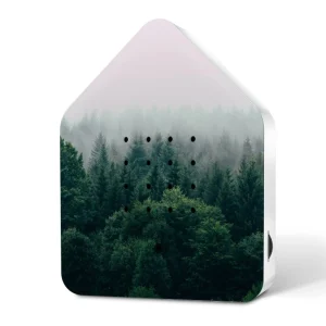 Zwitscherbox Morning Forest, Relaxound
