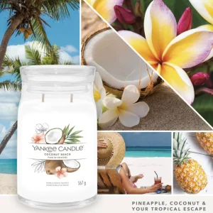 Bougie Signature plage de Cocotiers