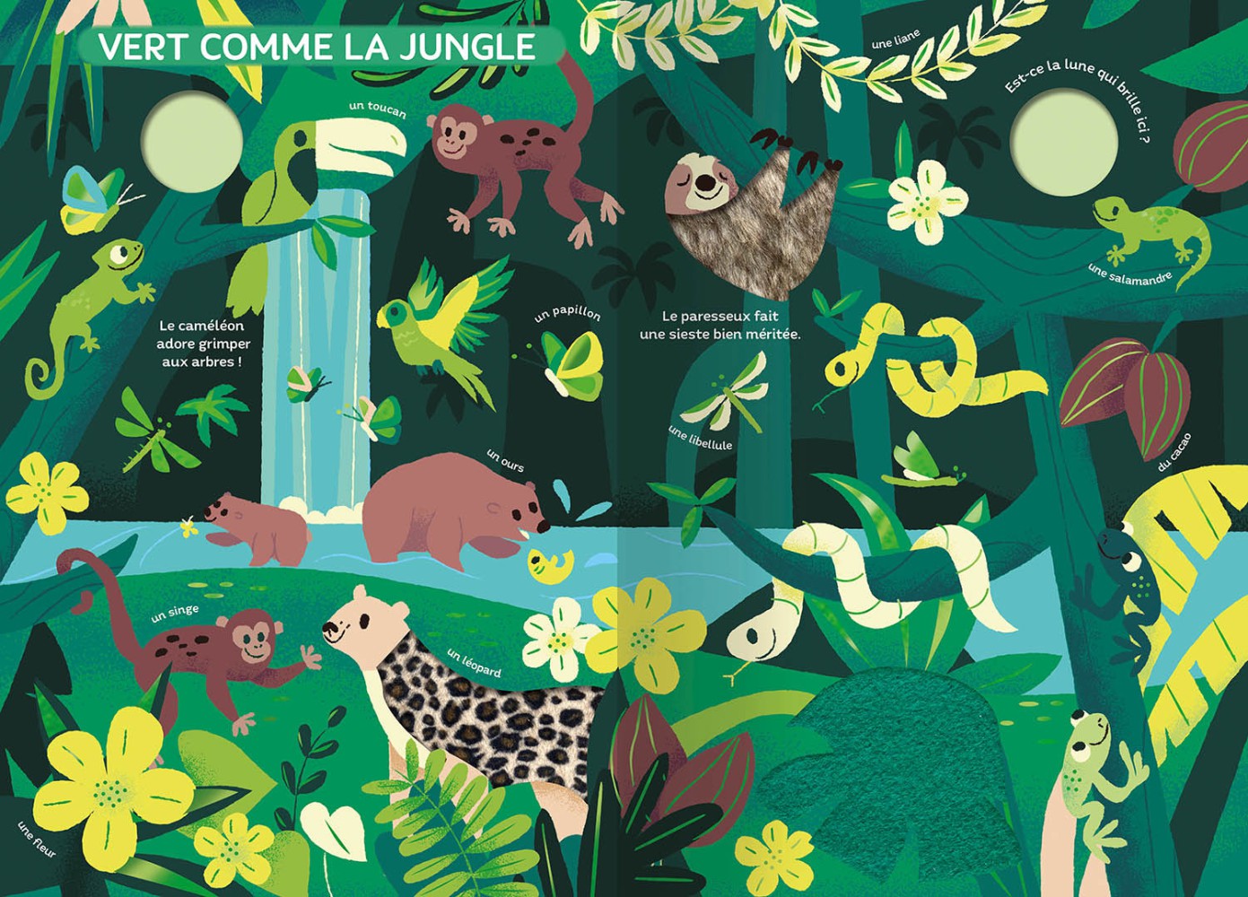 Livre d’éveil bébé Auzou – Le monde des couleurs – Image 3