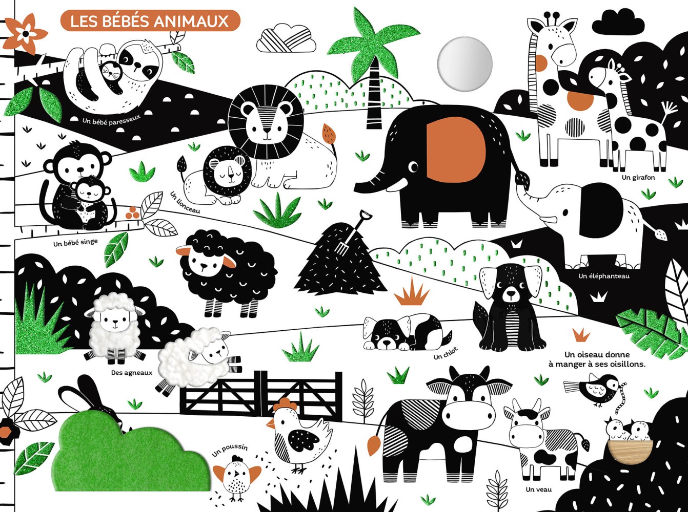 Mon très grand livre d’éveil en noir et blanc – Auzou – Image 2