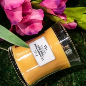 Bougie Mimosa en Bord de Mer