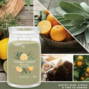 Bougie Signature Sauge et Agrumes