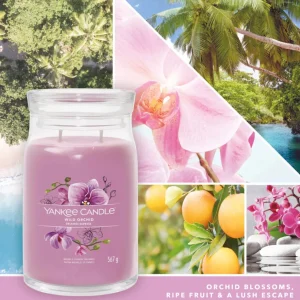 Bougie Signature Orchidée Sauvage