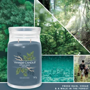 Gamme de Bougie Signature Cèdre Marin