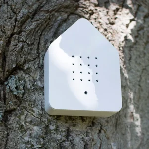 Zwitscherbox Blanche, Relaxound