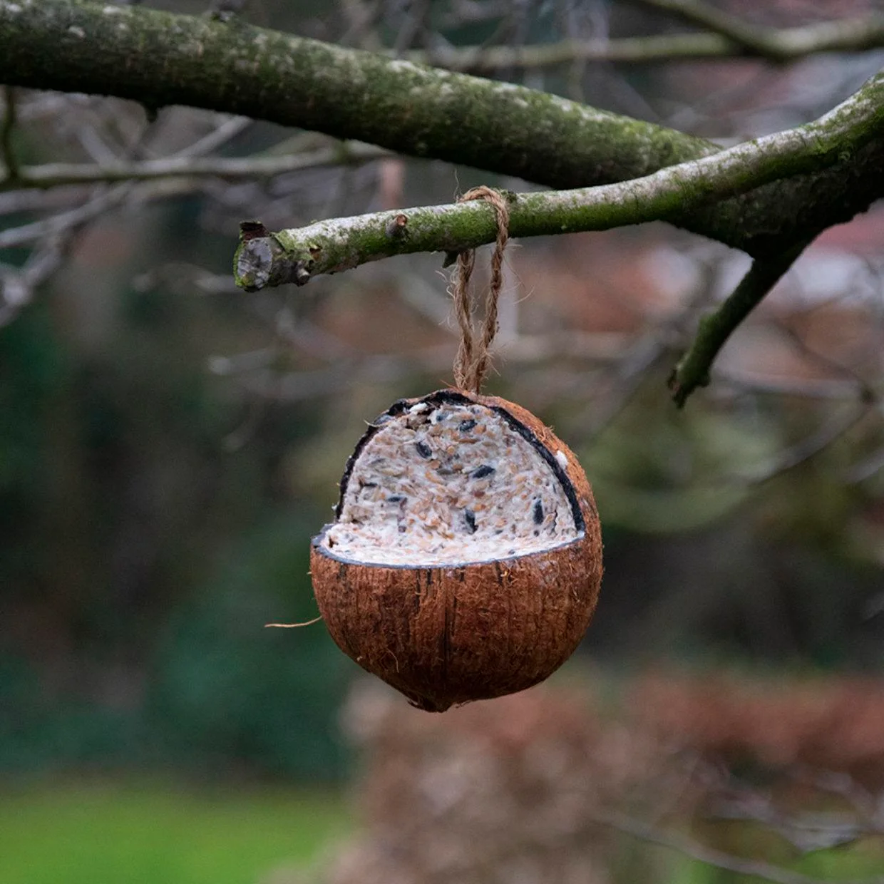 Noix de Coco Fourrée sur Corde, Esschert Design – Image 2