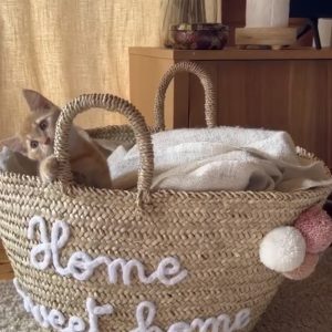 Grand Panier Cocon : Home sweet home