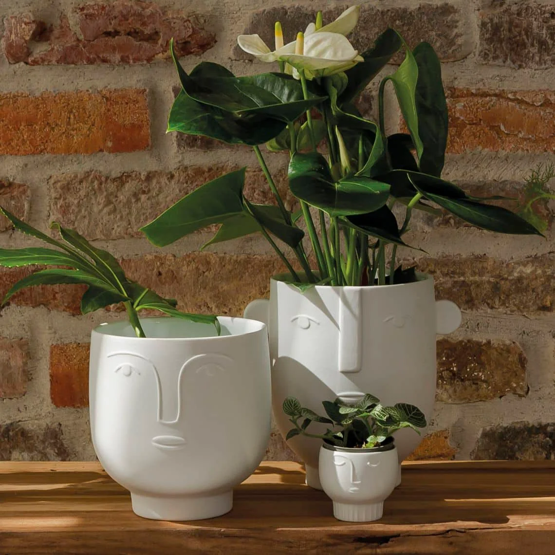 Vase Visage Plusieurs tailles, Räder