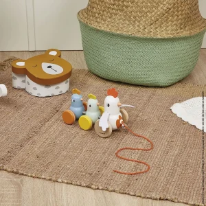 Poule et Poussins à Promener