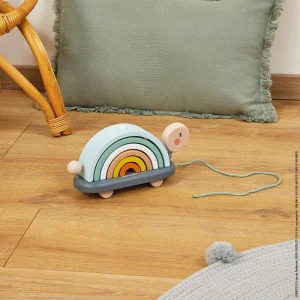 Tortue Arc en Ciel Sweet Cocoon