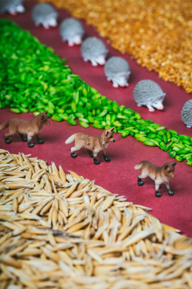 BOUTEILLE SENSORIELLE – OBSERVER – Image 6