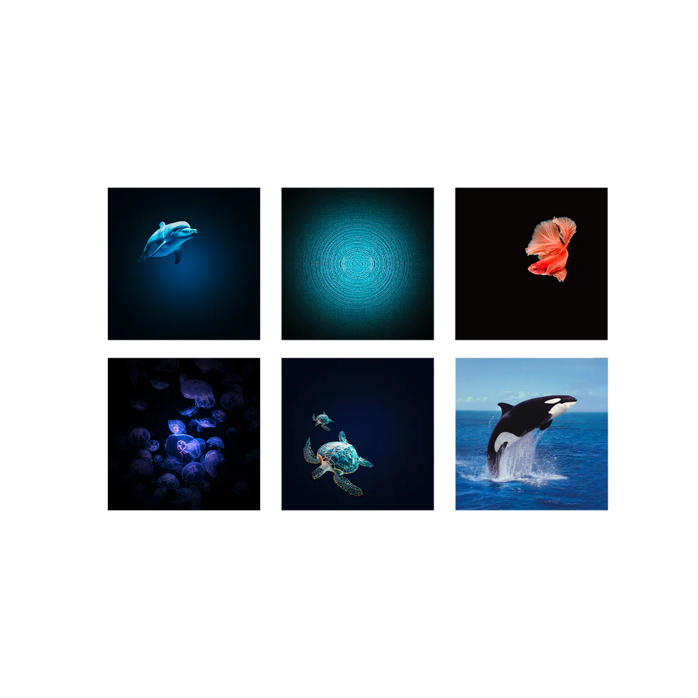 Projecteur Kidystrar | Vert Océan – Image 8