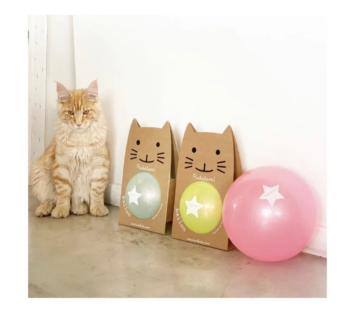 Ballon bulle 15cm | Rose – Image 3