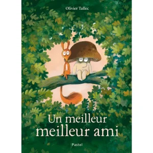 Livre jeunesse Un meilleur ami – Moulin Roty