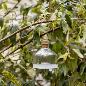 Piège à Guêpes, IB Laursen