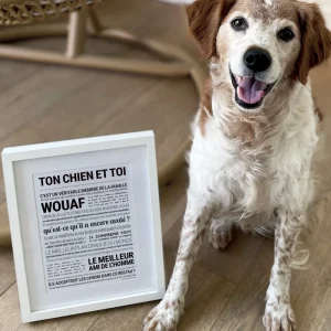 Affiche Ton Chien et Toi  – TOUT EST DIT
