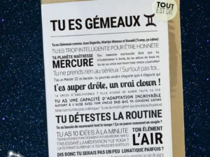 Carte astrologie Gémeaux – TOUT EST DIT