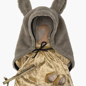 Les P&rsquo;tits Déguiz&rsquo; – Ensemble Peau d&rsquo;âne avec robe en panne de velours gold