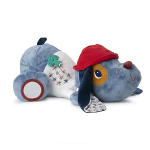 Grand chien découvertes Jules, Lilliputiens